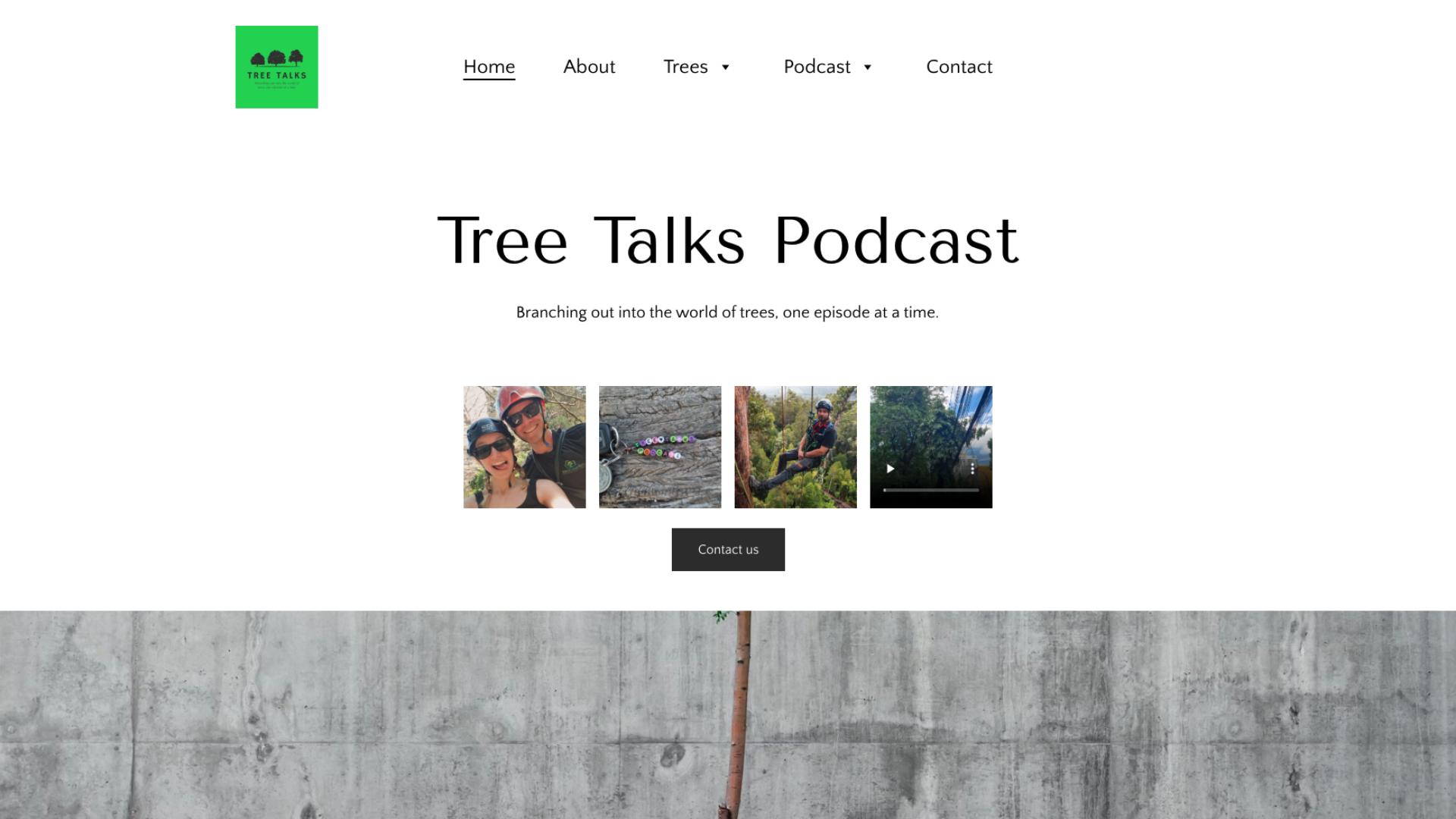 Screenshot of Tree Talks Podcast's website homepage example